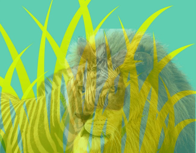 Testul Leu-Zebra